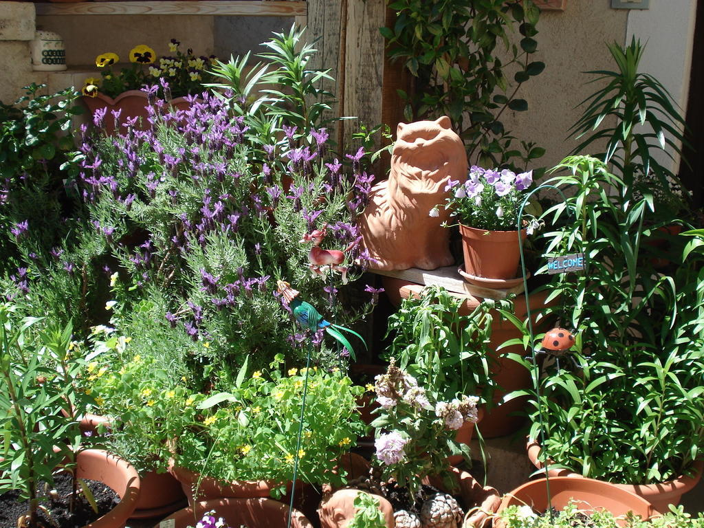 Bed and Breakfast Abruzzo Segreto à Navelli Extérieur photo