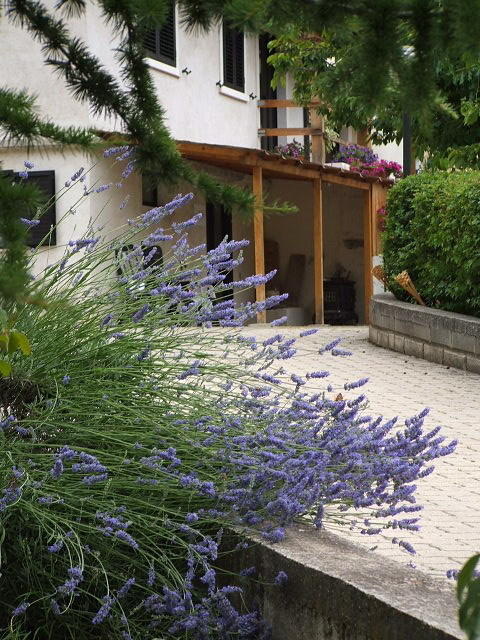 Bed and Breakfast Abruzzo Segreto à Navelli Extérieur photo